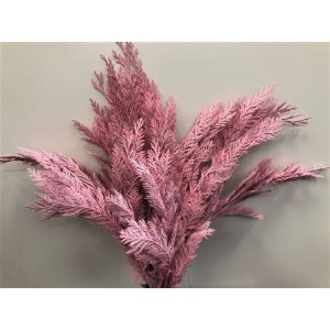Coniferen Dyed Pink