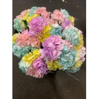 Hydrangea Imp Rainbow Pastel Painted