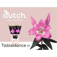 Li Or Tabledance Pink
