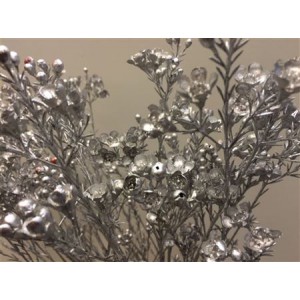 Wax Flower Silver
