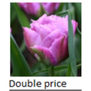 Double price