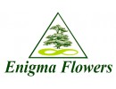 Enigma Flowers