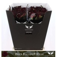 Rosa gr black baccara